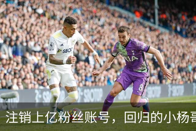 注销上亿粉丝账号，回归的小杨哥目标早已不在国内