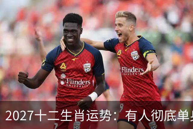 2027十二生肖运势：有人彻底单身，有人乘风而起，有人要防住小人